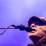 Kim Larsen & Kjukken, Kim Larsen, Amfiscenen