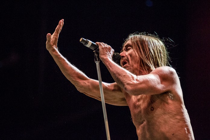 Iggy Pop, Northside, NS16, Green Stage