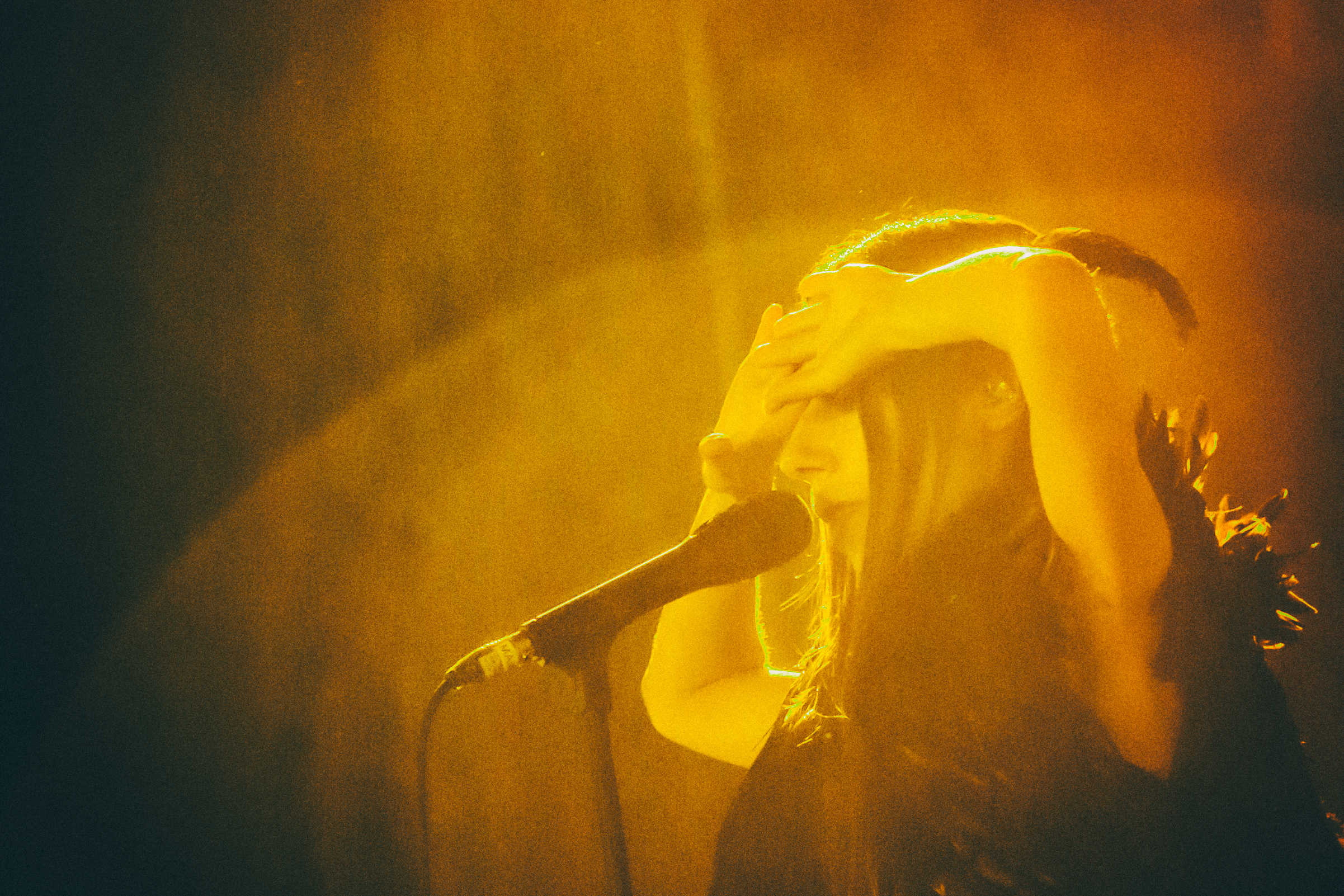 PJ Harvey, Roskilde Festival, Arena, RF16