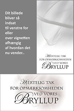 Bryllup slør