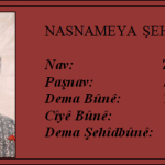 NASNAMEYA ŞEHÎDAN