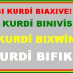 21ê Sibatê Roja Zimanê Zikmakî ya Navneteweyî Pîroz Be