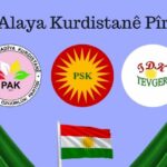 PAK, PSK, TDK-TEVGER LI STENBOLÊ ROJA ALAYA KURDISTANÊ PÎROZ DIKIN