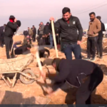 ŞINGAL – Hestiyên 57 Kurdên Êzidî dê bi merasîmeke taybet werin veşartin