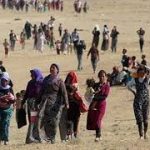 Îrlanda komkujiya Kurdên Êzidî gotûbêj dike