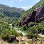 Sasun’da idrar içirilen çocuklardan, Hakkari Belediyesi’nde kayyuma