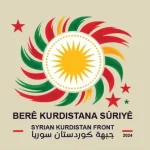 Berê Kurdistana Sûriyê li ser danîna berpirsekî bo Efrînê: Dîktatoriya Esed dubare dibe