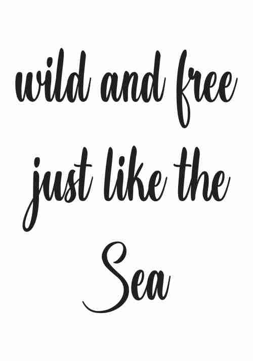 Wild And Free Just Like The Sea Poster