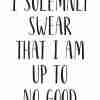 I Solemnly Swear That I Am Up To No Good Poster