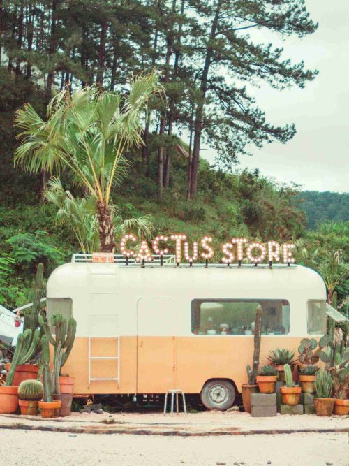 Cactus Store Poster