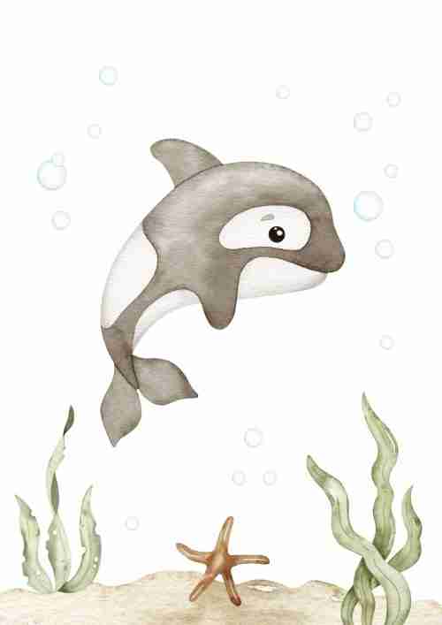 Charmig Delfin Poster
