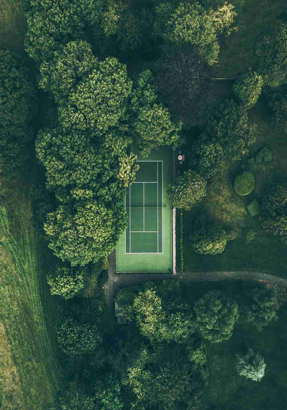 Tennisbana i Skogen Poster
