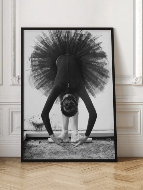 Elegant Ballerina Poster