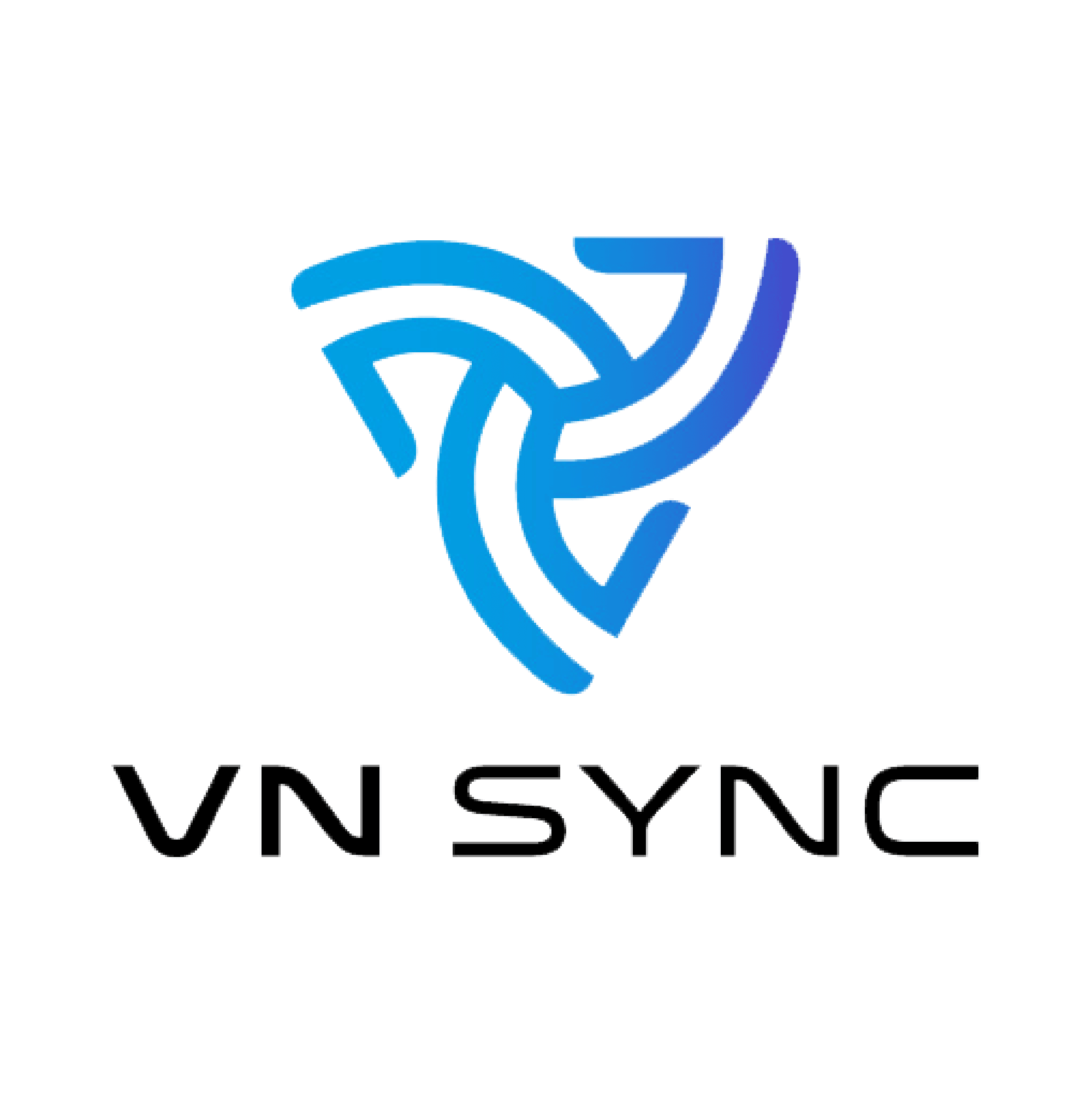 VN SYNC PNG-02