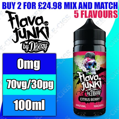 Flava Junki 100ml