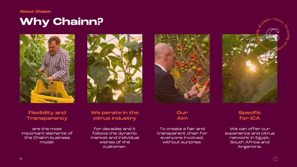 Chainn Presentatie Slide/Dia PowerPoint