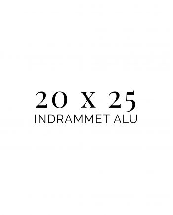 20x25 indrammet alu