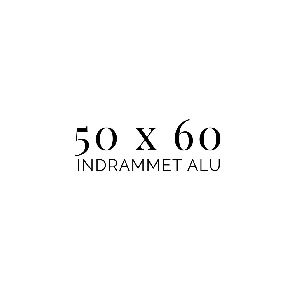 50x60 indrammet alu