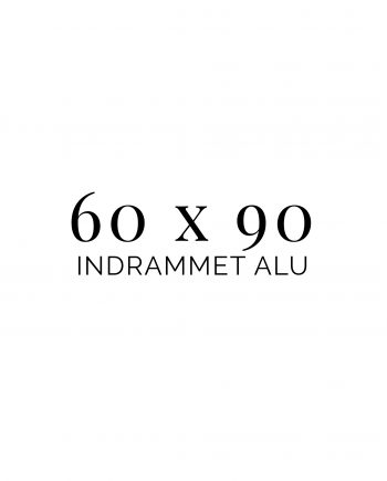 60x90 indrammet alu