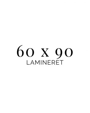 60x90 Lamineret