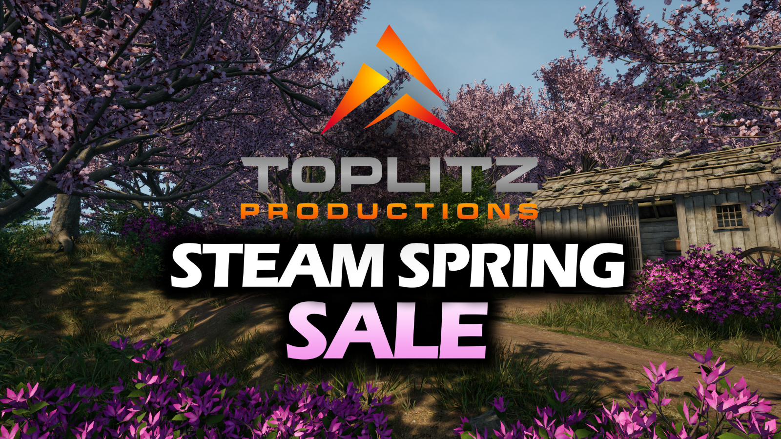 Toplitz productions steam sprng sale
