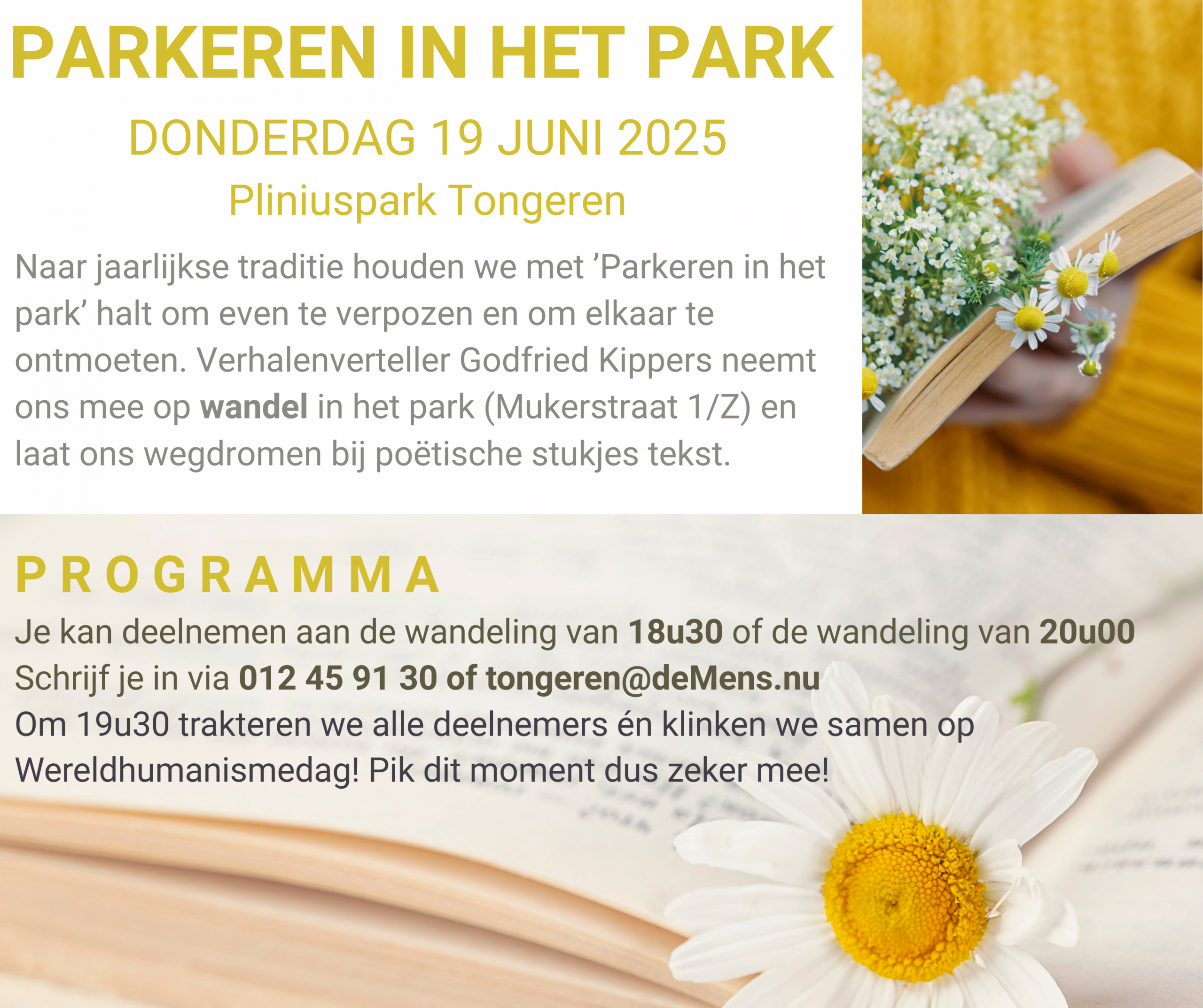 De huidige afbeelding heeft geen alternatieve tekst. De bestandsnaam is: parkereninhetpark-2025-geel-scaled.png