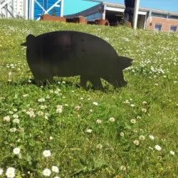 Gris i cortenstål