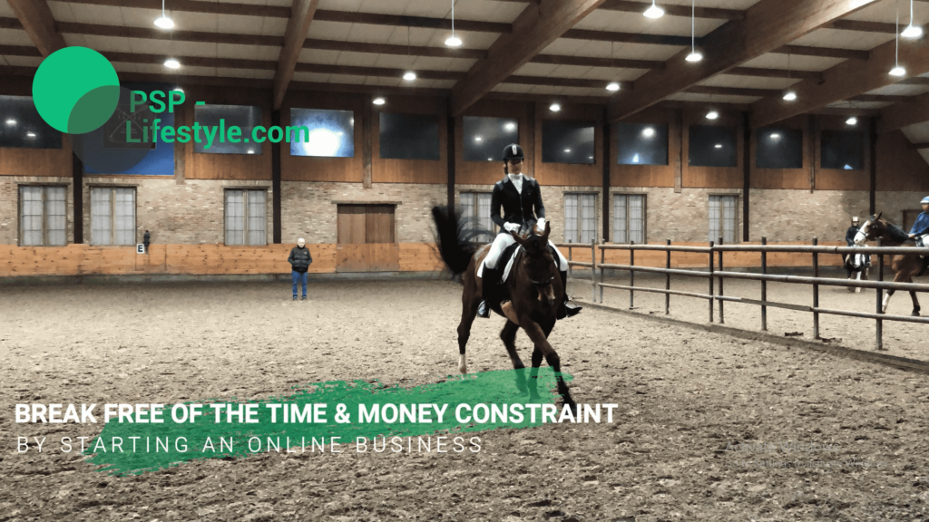 start an equine online business