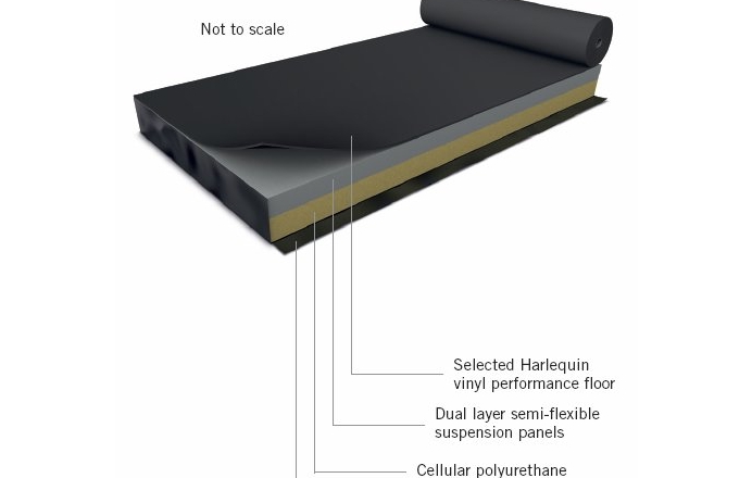 Harlequin Activity - Image 5