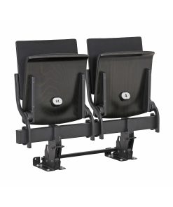 SIBIO auditorium seat