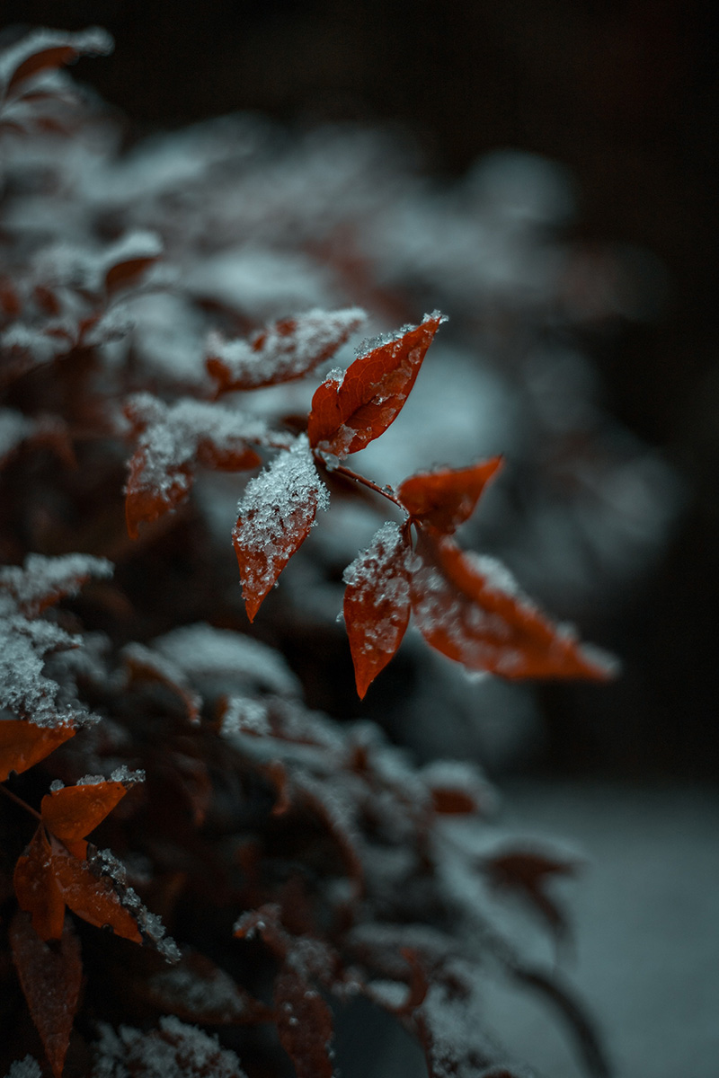 30-kajetan-sumila-bmqoOBbtW4E-unsplash