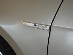 VW e-Golf