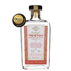 Trevethan Grapefruit & Lychee Gin - Trevethan Grapefruit and Lychee Gin