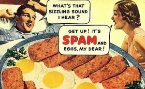 spam-570x349