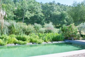 natuurzwembad-in-portugal