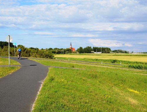 Radweg zwischen Wustrow und Ahrenshoop wieder befahrbar