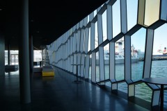 Harpa11