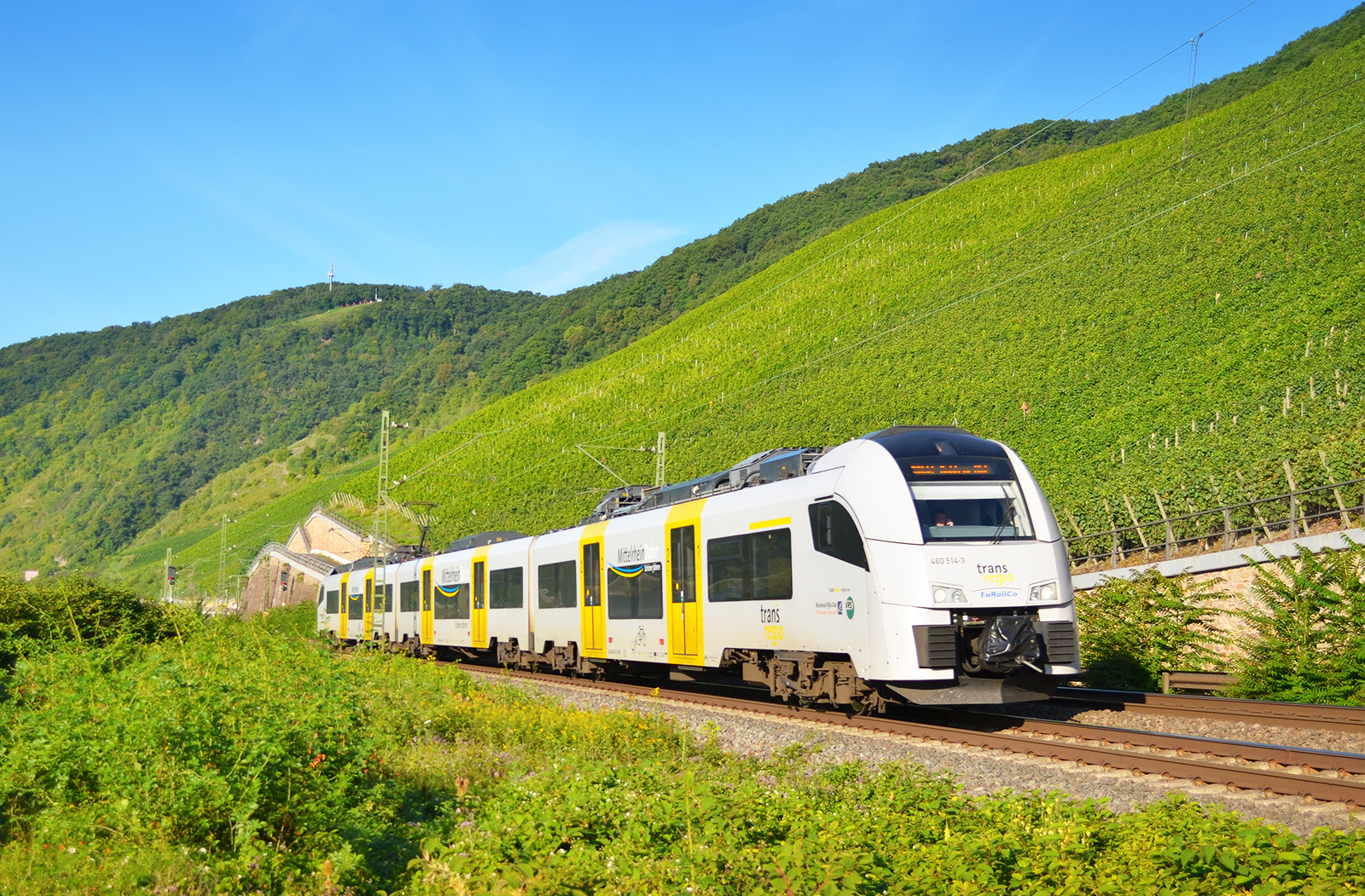 [DE / Expert] TransRegio extends lease contract for Desiro MLs ...