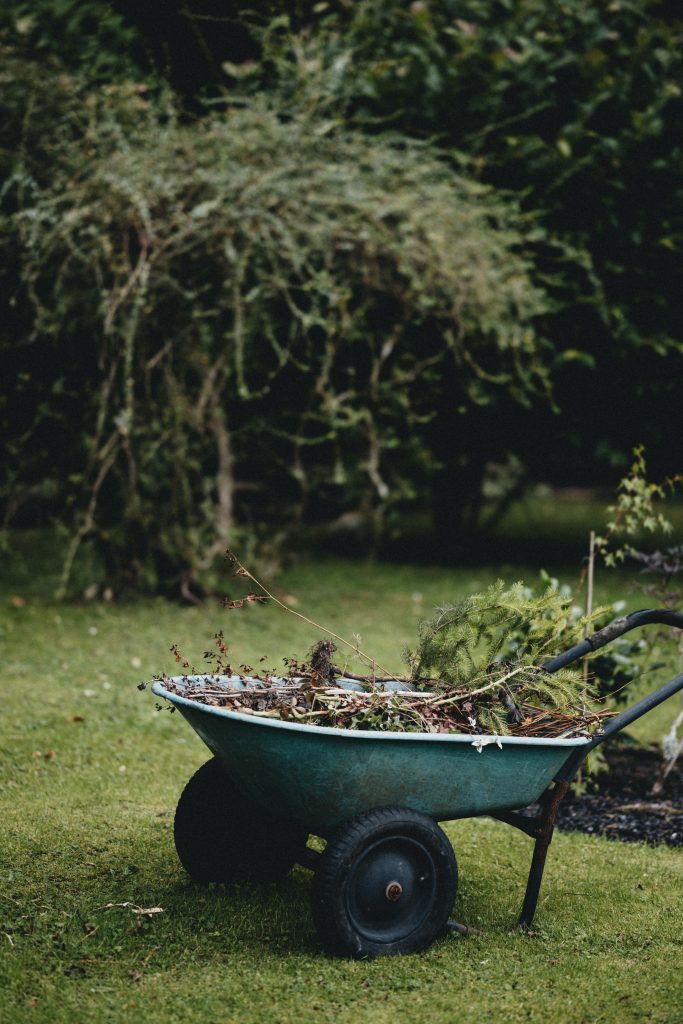 wheelbarrow with waste from garden