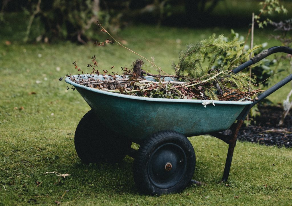 wheelbarrow with waste from garden