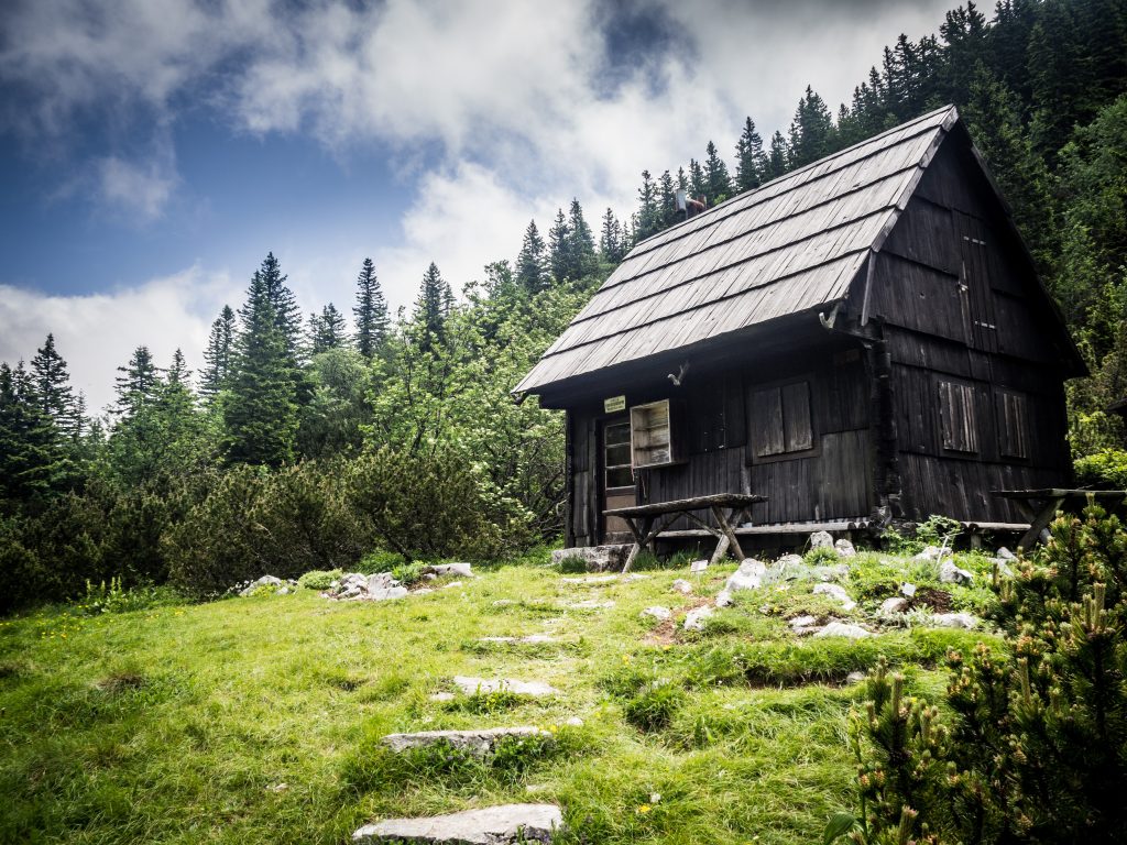 a black cabin surrounded in greenery