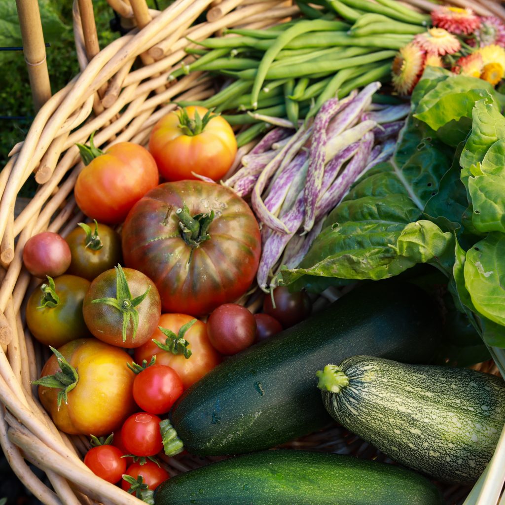 vegetables in a basket