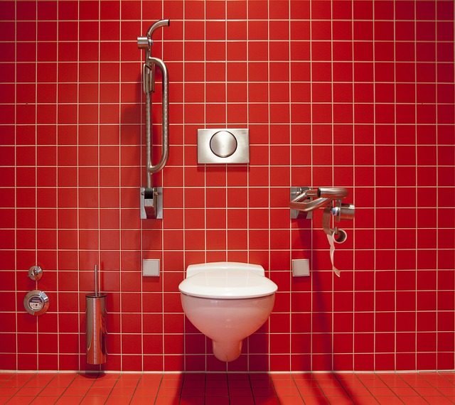 water toilet with red walls