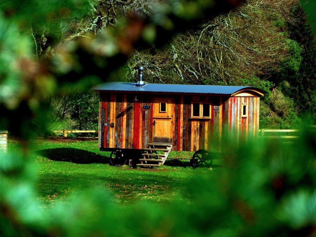 Tiny House in a green garden