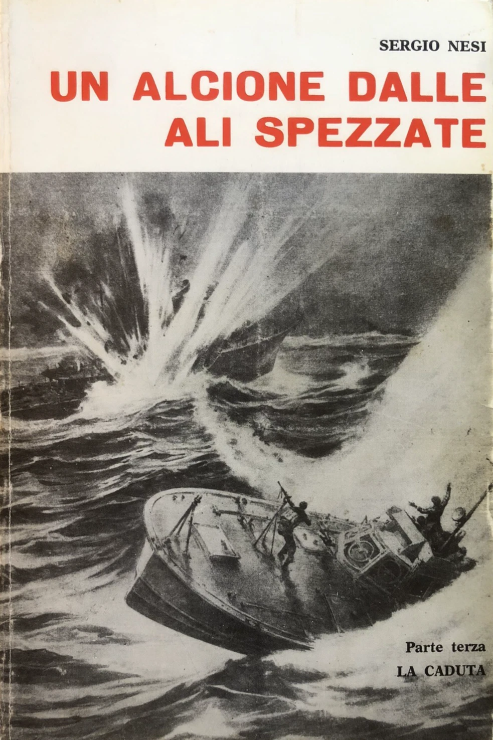 Sergio Nesi : un alcione dalle ali spezzate