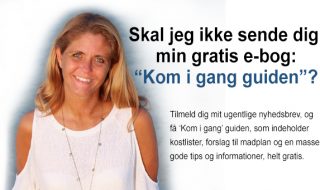 Kom i gang guiden