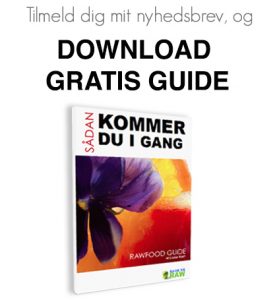 Download gratis kom i gang guide