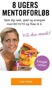 Spis dig rask - online mentorforløb