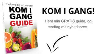 Hent gratis Kom i gang guide