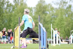agilitysm2017-dag3-2155